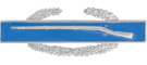 Combat Infantryman