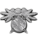 IT & Software Development