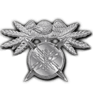 IT & Software Development