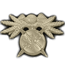 Senior IT & Software Development