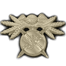 Senior IT & Software Development